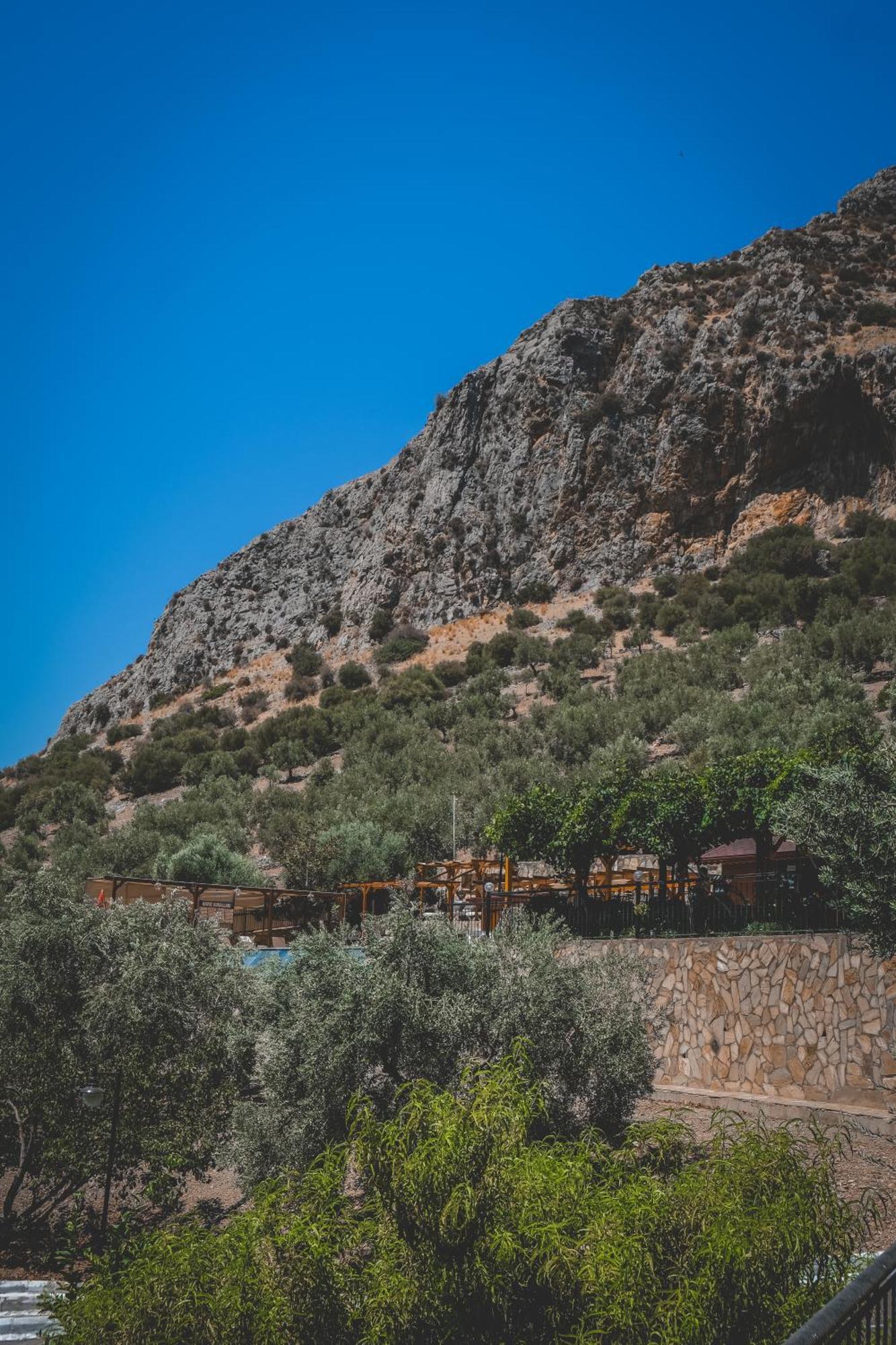 Natureland Efes Pension Selçuk Exterior foto