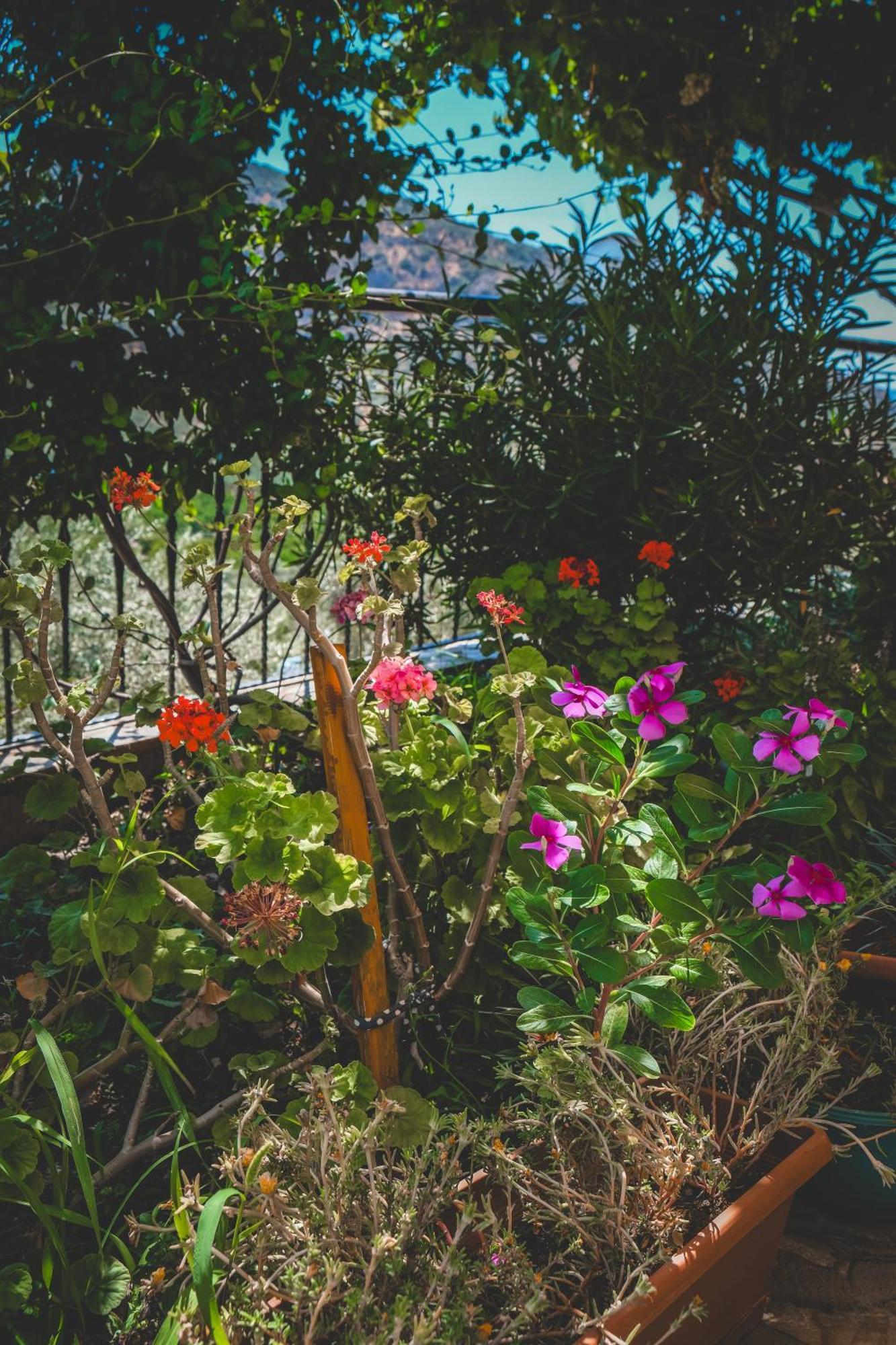 Natureland Efes Pension Selçuk Exterior foto